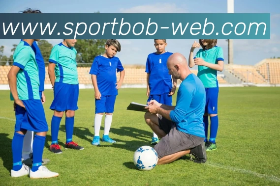 BOB体育APP 封面图